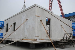 8小時修建180㎡毛坯別墅,成本不到傳統建材一半,質量卻翻