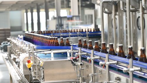 許巍 光良 長春勞德巴赫火熱音樂節(jié)全陣容官宣